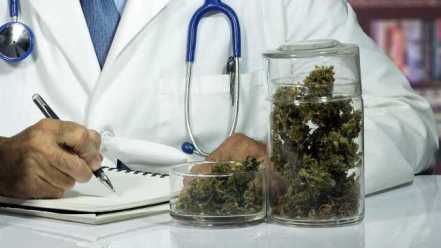 Cannabis in farmacia, Farmalabor riceve il sì del Ministero della Salute